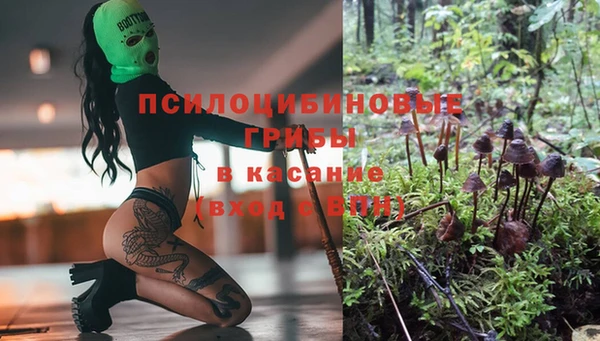apvp Алексин