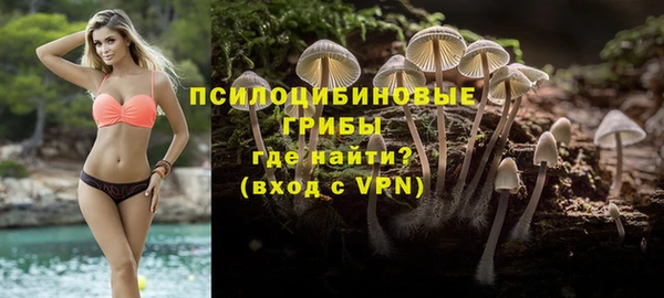 apvp Алексин