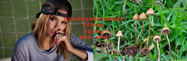 MDMA Алексеевка
