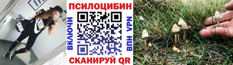 Псилоцибиновые грибы Psilocybine cubensis  Луза 